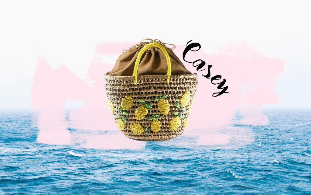 Casey: Take It Everywhere